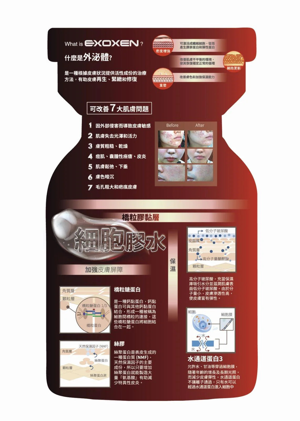 EXOXEN 外泌體 EXOXEN SKIN BOOSTER 3ml EXOXENSKIN RESET BOOSTERHIGH CONCENTRATION