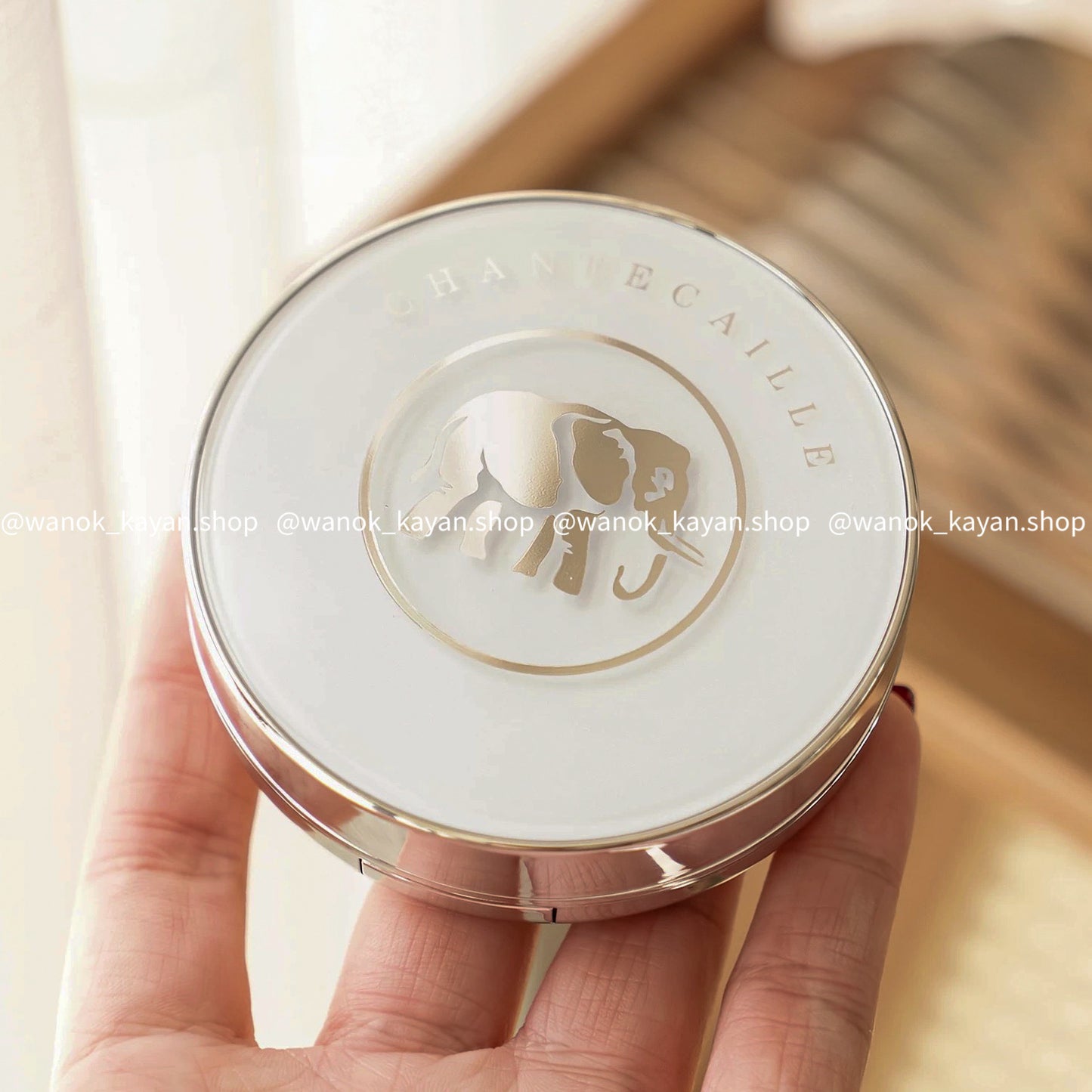 Chantecaille 未來肌膚抗污染修護氣墊粉底 Future Skin Cushion Skincare Foundation （12g+替換裝12g）