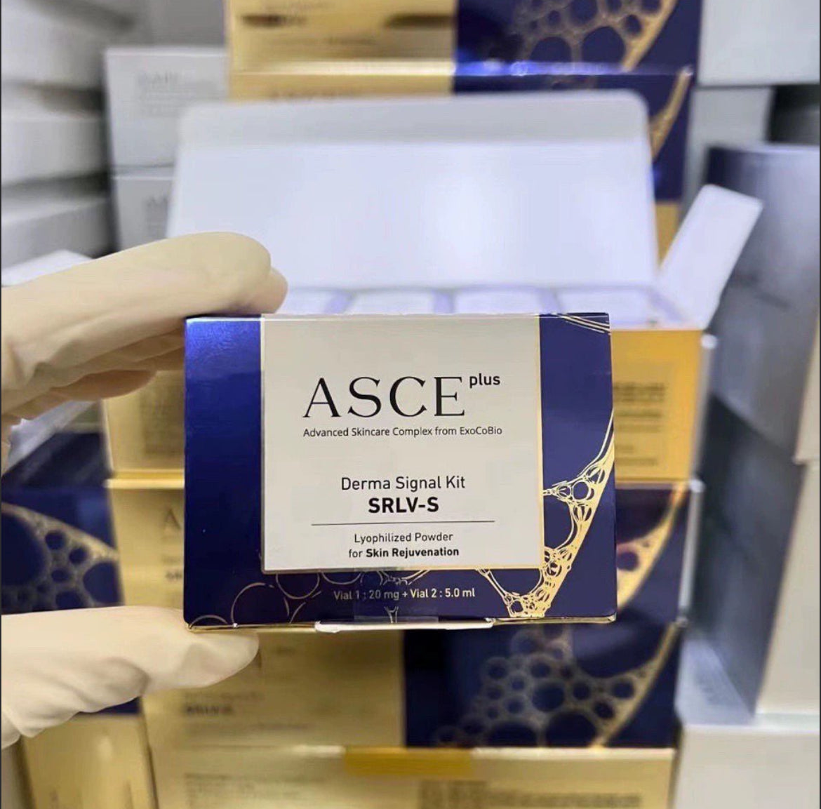 ASCE 外泌體精華 水光塗抹精華一組 ASCE plUS Derma Signal Kit SRLV-S Lyophilized Powder for Skin Rejuvenation 。