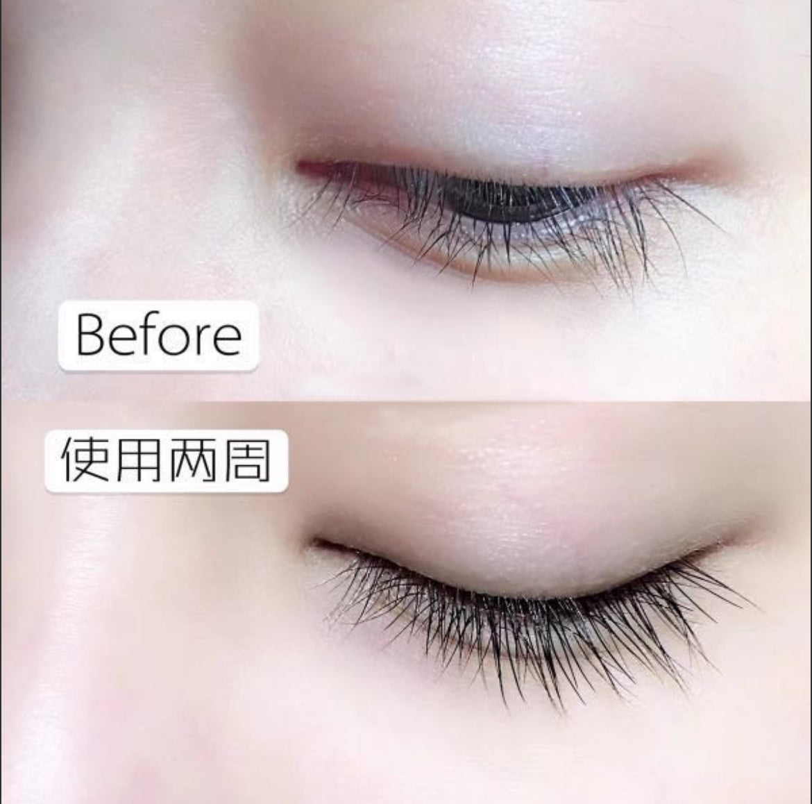 法國 talika 豐盈捲曲睫毛增長滋潤液 睫毛滋養液10ml LIPOCILS EXPERT Eyelash care and conditioning serum